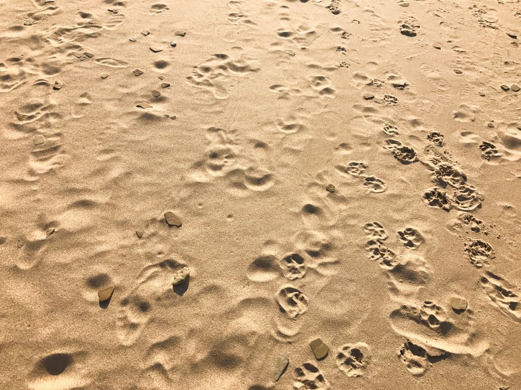 Beach sand